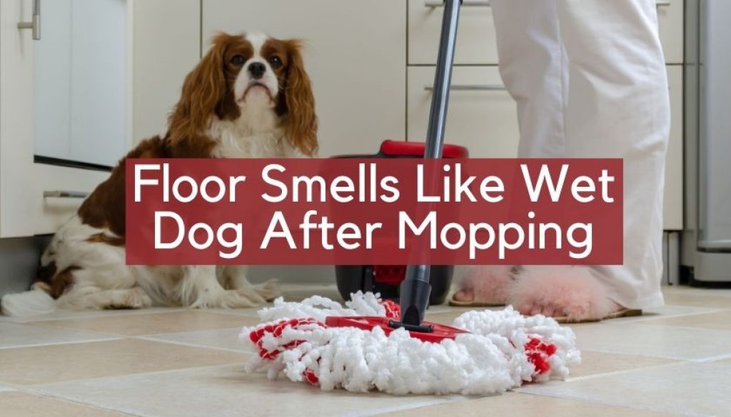 Floor Smells Like Wet Dog After Mopping Why & How to Remove