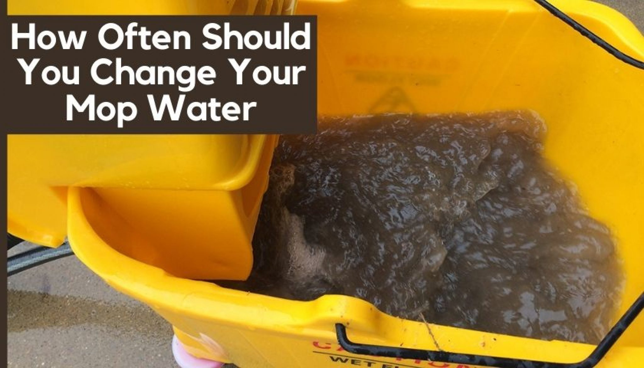 How Often Should You Change Your Mop Water Easy Tips