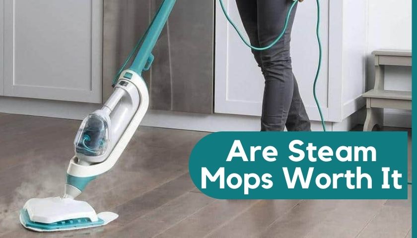 Are Steam Mops Worth It