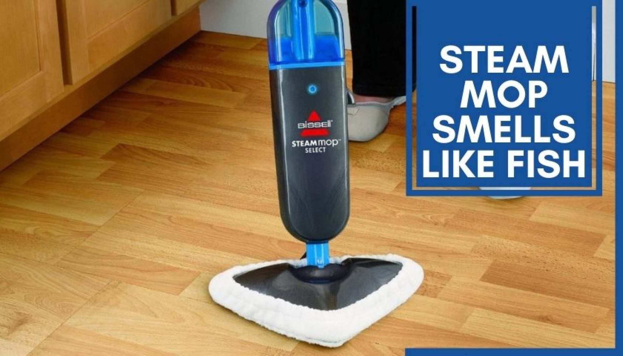 Steam Mop Smells Like Fish Mops Review