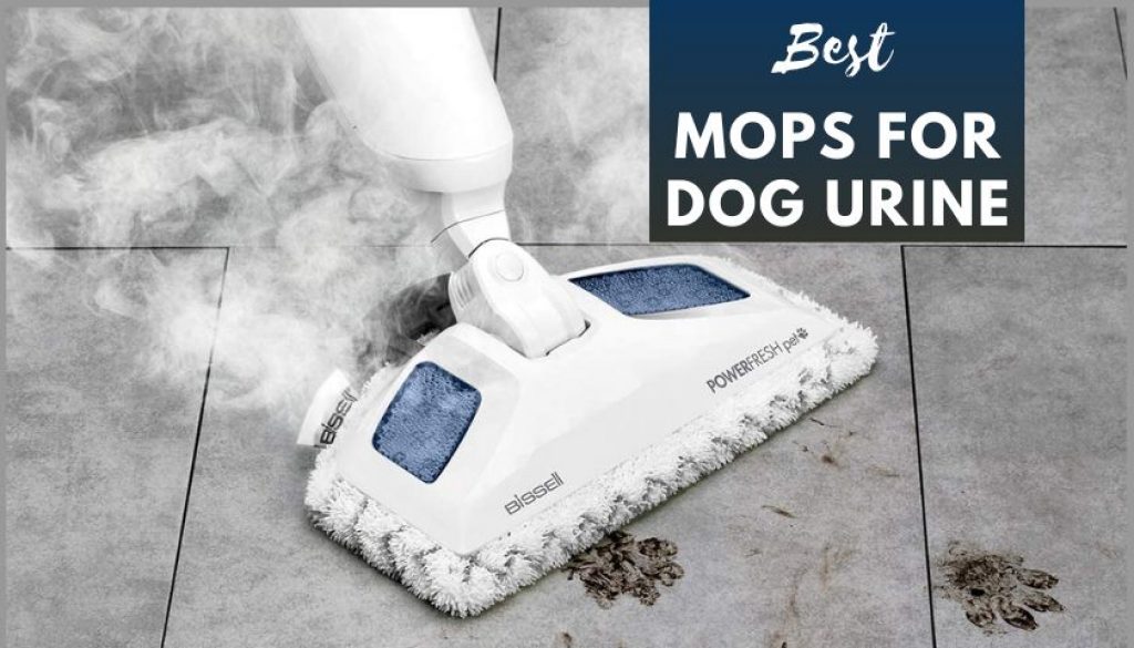 Best Mops for Dog Urine Mops Review