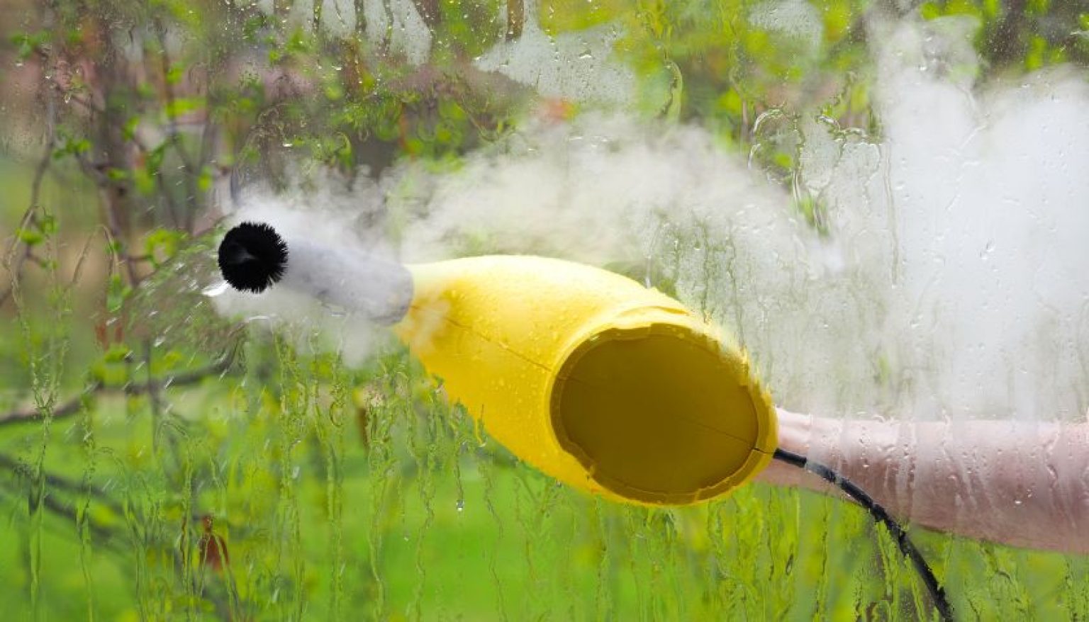 How To Clean Windows With Steam Cleaner Mops Review