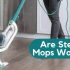 Are Steam Mops Good for Pet Urine | Here is The Solution