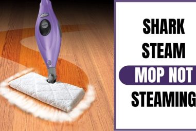 Shark Steam Mop Not Steaming | Know The Reason Behind It